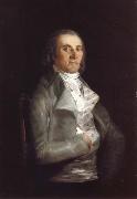 Francisco de Goya Don Andres del Peral Sweden oil painting artist